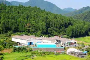 b385491ea9317839